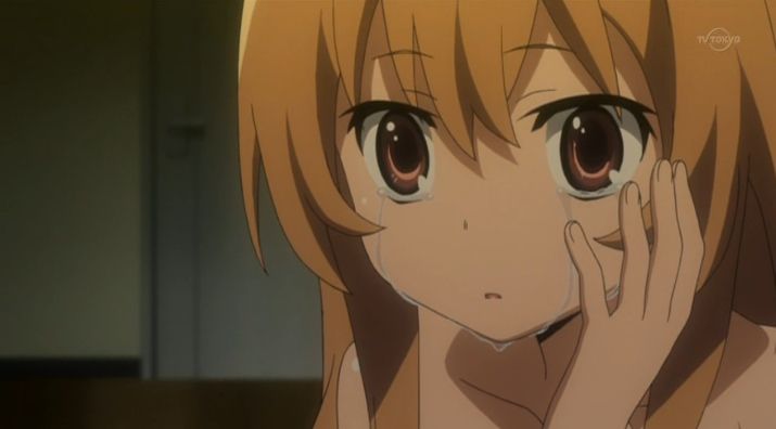 とらドラ 第19話 聖夜祭 アニメ大好き一日一話 とらドラ 第19話 聖夜祭 アニメ大好き一日一話