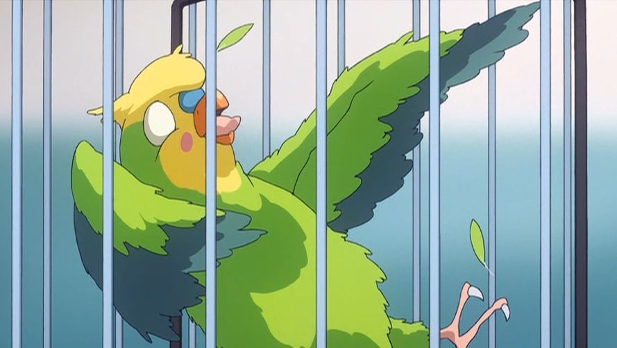 とらドラ 第７話 プールびらき アニメ大好き一日一話