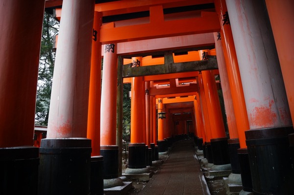 雪の京都008