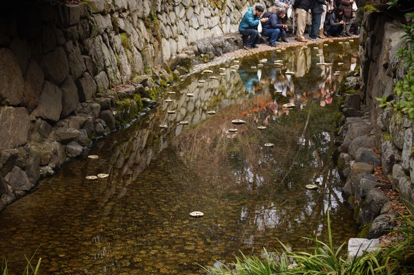 下鴨神社流し雛010