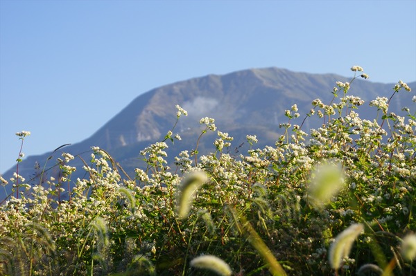 伊吹山002