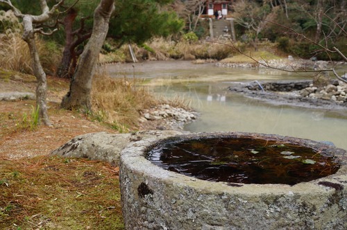 浄瑠璃寺023