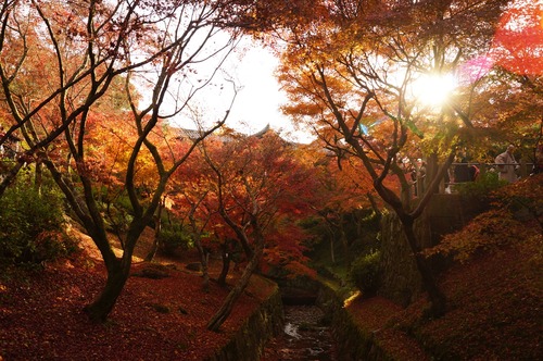 東福寺016