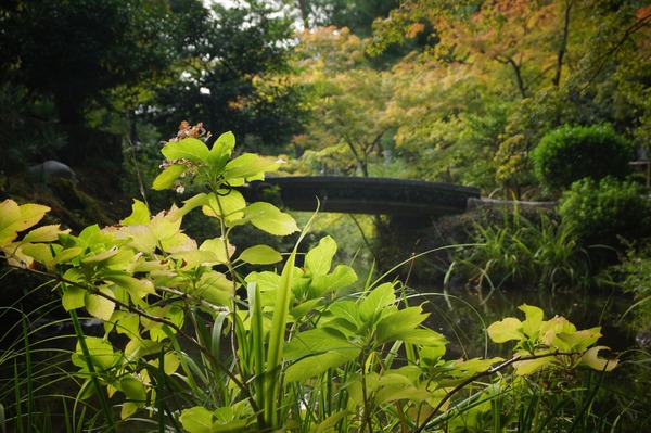 等持院019