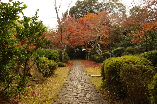 善法律寺011