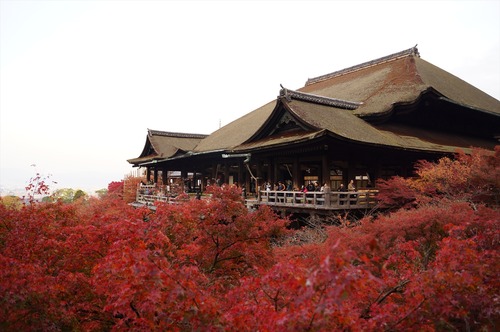 清水寺015