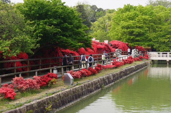 長岡京散策006