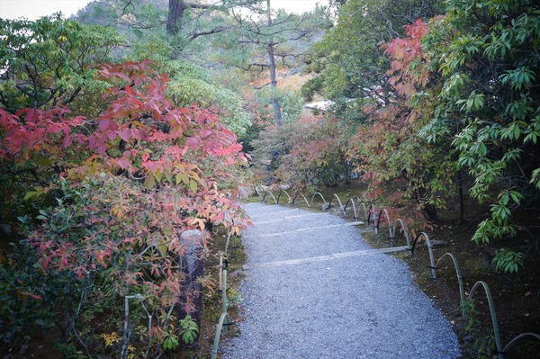 光悦寺013