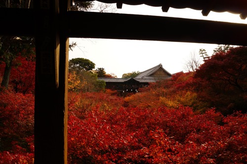 東福寺021