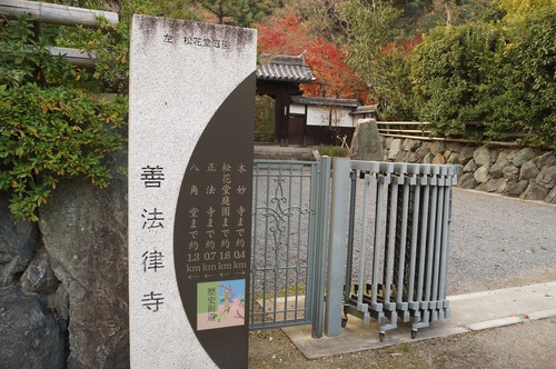 善法律寺016