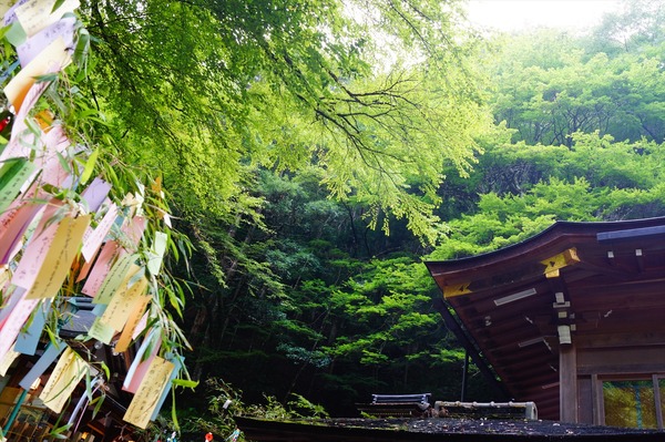 貴船神社013