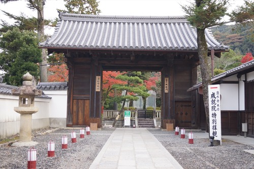 清水寺006