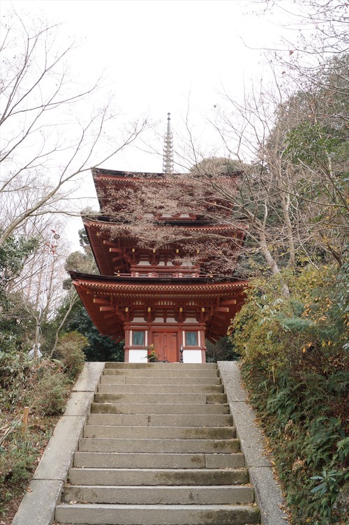 浄瑠璃寺015