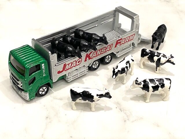 JMAC関西 2020 夏モデル～JMAC KANSAI FARM？？ : FAIRLADY Z fan