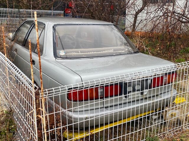 サニーの楽園かな？(あとで気が付いたんですが…) : FAIRLADY Z fan