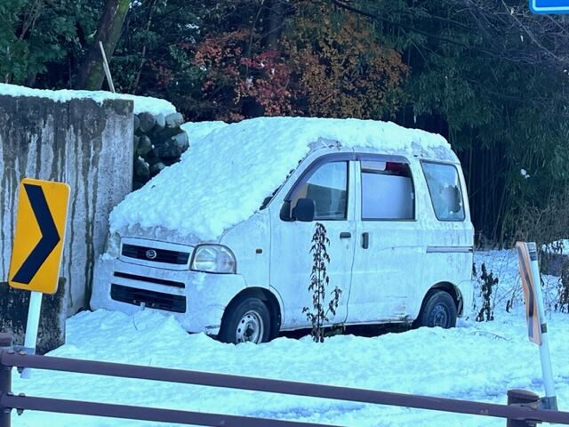 暑いので涼しげな映像～雪の中に埋もれている草ヒロ : FAIRLADY