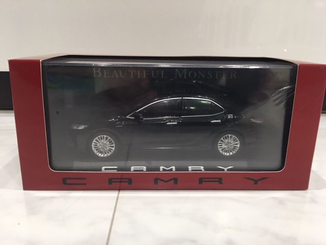 今年のオクも競ってしまった・・1/30トヨタ カムリ カラーサンプル