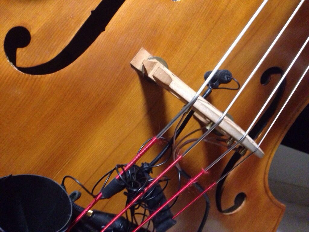 Wilson K-4（コントラバスピックアップ）を売却します。 Wilson K-4（コントラバスピックアップ）を売却します。