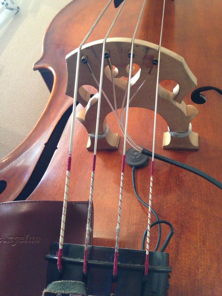 おすすめネット 弓様専用ウッドベース ピエゾピックアップ K K ベース Hlt No