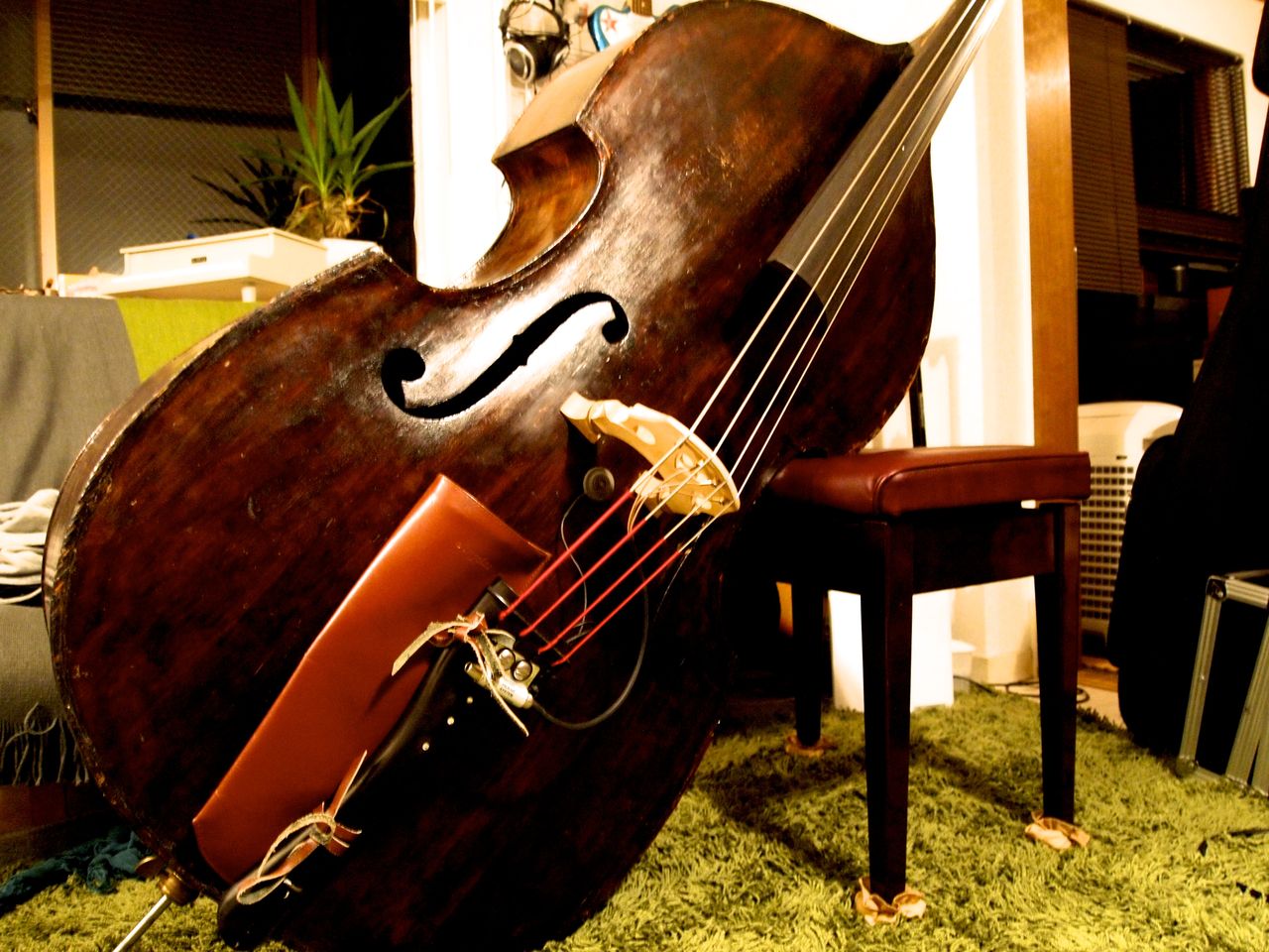 コントラバスを買い替えました 森田晃平の日々