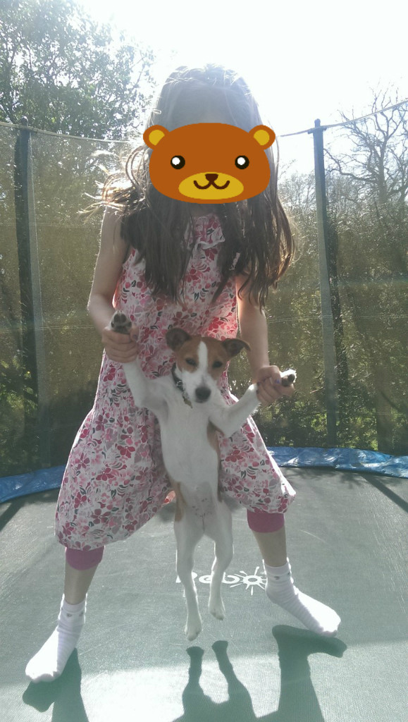 犬のガーデナーは トランポリンがお好き おとぎの国のガーデナー