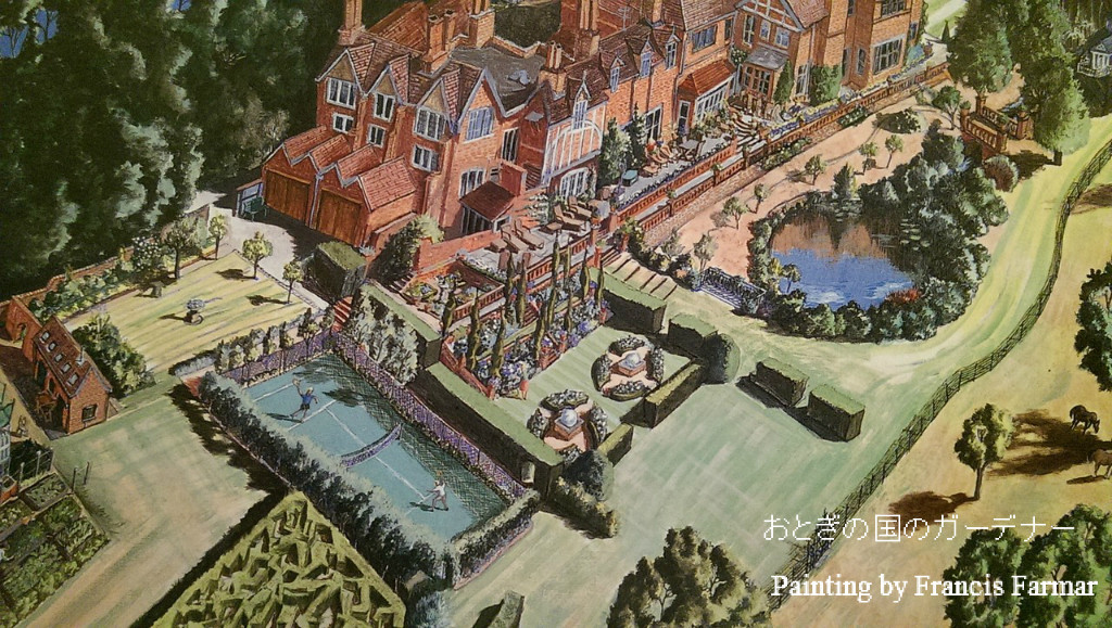 ラバーナム(キングサリ)のモール ラバーナム(キングサリ)のモール 低 価格 通販