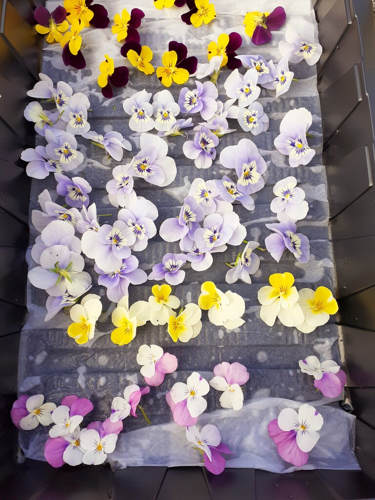 エディブルフラワー 食べられる花 を結婚式に おとぎの国のガーデナー