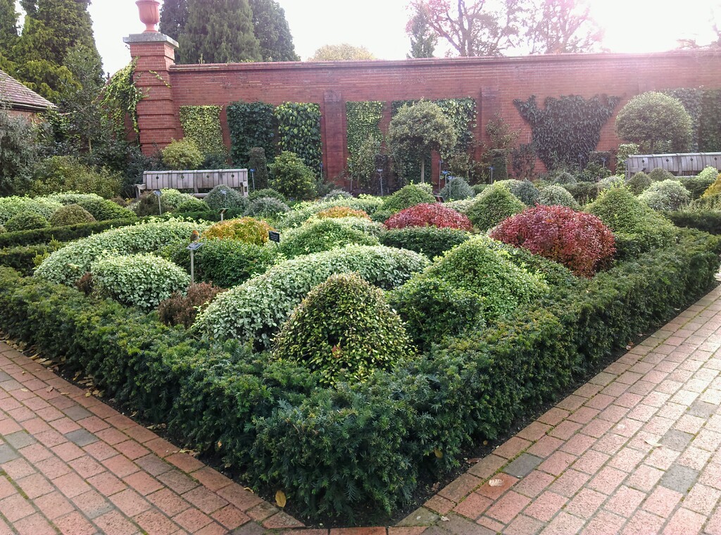 久しぶりの王立園芸協会のウィズリーガーデン おとぎの国のガーデナー