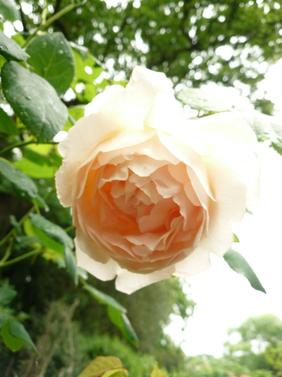 P1060283