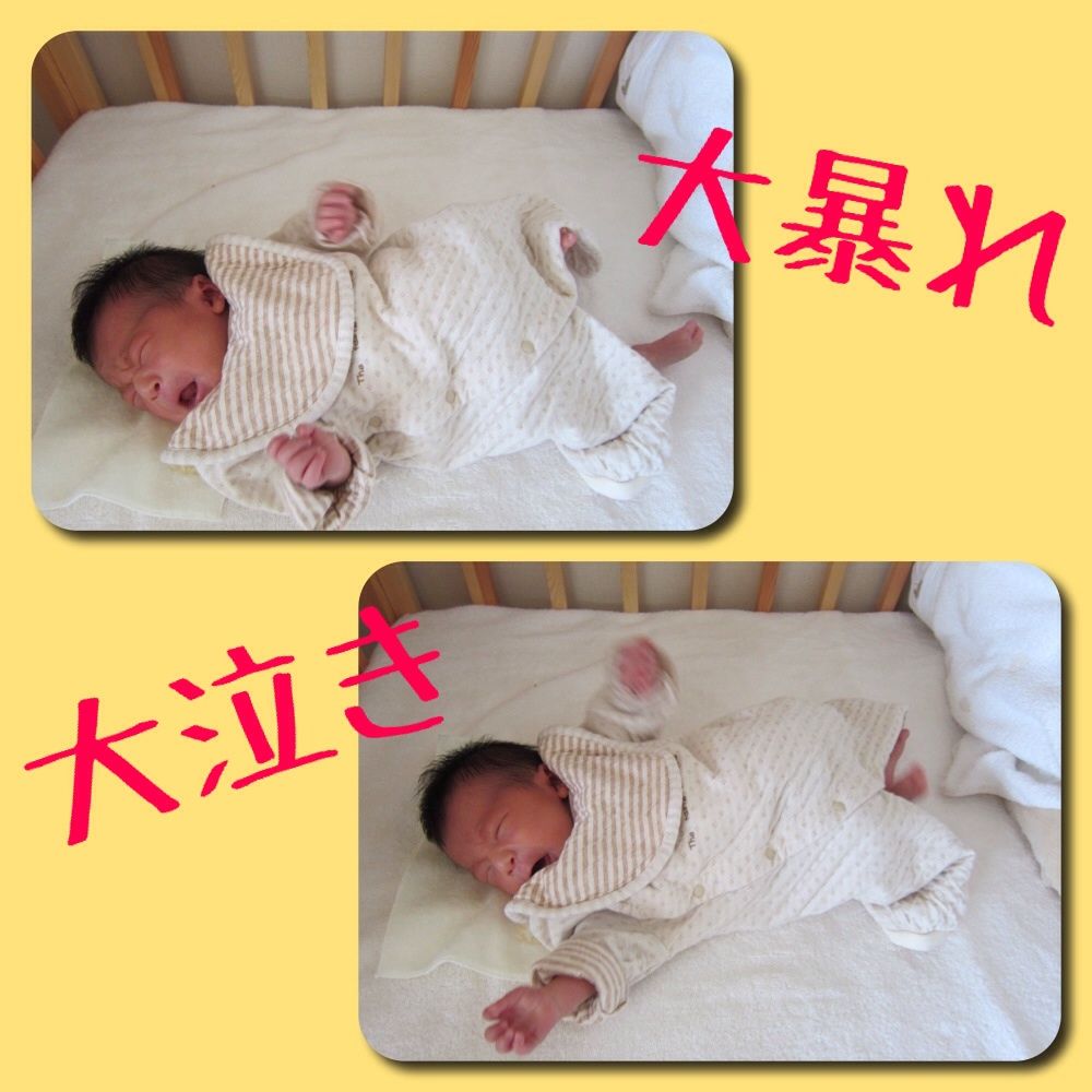 爽やかな風が運ぶもの 葉っぱの妖精たち 爽やかな風が運ぶもの 葉っぱの妖精たち