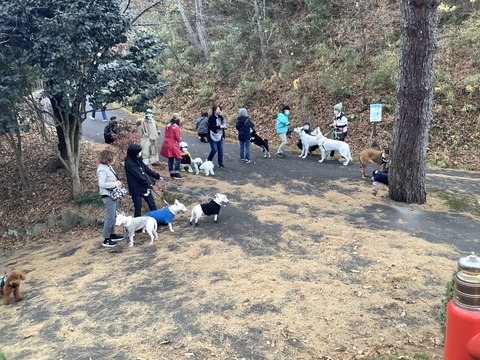 78A82493-E900-4A27-9B3C-83C0158D97B1