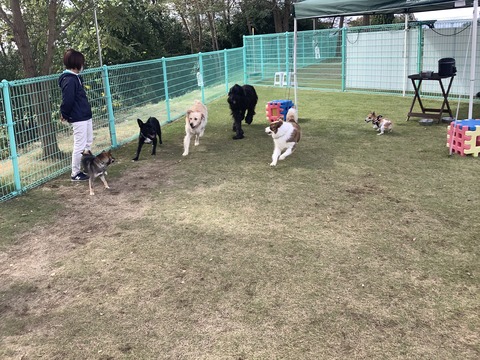 117DBACC-9E40-4C17-8436-A7785877B4F4