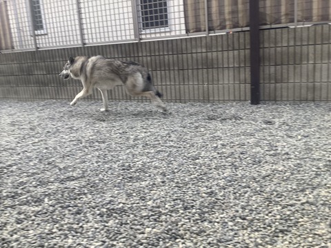 6E35D926-88A1-4568-9B41-BB38A69695EC