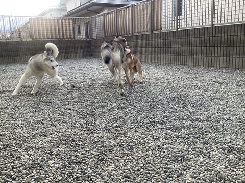 E187C222-58CB-4181-867B-DA79B0B780F6