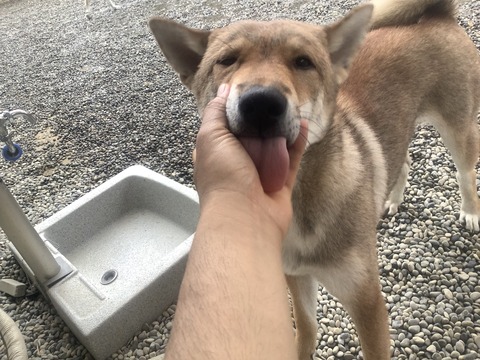 5E886D34-1D71-4314-AC41-CF068AFDAFD2