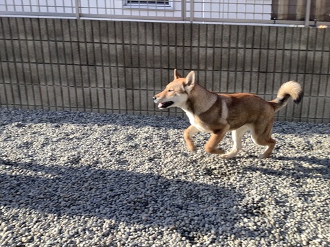 8F2BA2F8-1701-4272-A868-374FF3AB0DA0