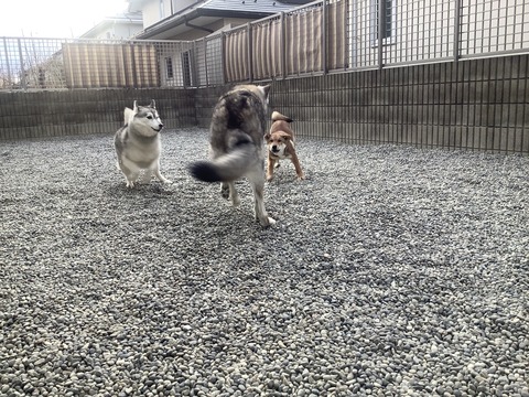 0B9CF644-74DC-4685-A9ED-53D3B9C42EFC