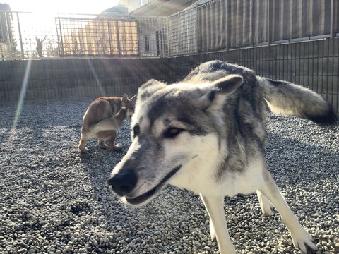 3E797185-25DA-41F4-BF10-1B661606F150