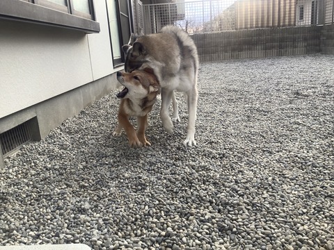 98677CC4-9C0A-4814-876F-BA7B1D09F924