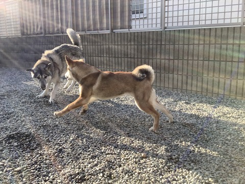 38AE7240-36D9-4081-92EA-29FCE3104838