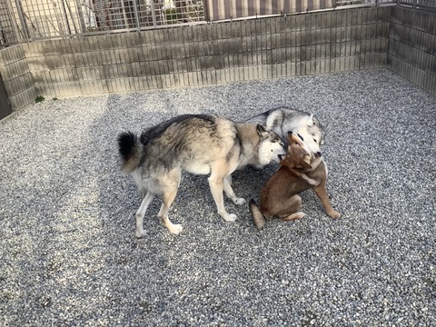 C12CDE94-D873-47D9-87D1-D3D9294CA9C0