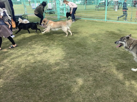 88C9EC22-90BD-436D-A413-76028A4D7935