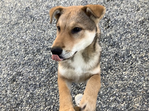 D714946B-412B-42DD-BA88-C7D84B09575A