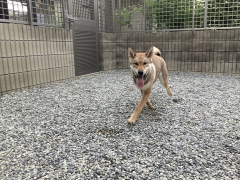 308BC6F1-D5DF-435F-8C27-BC726051A07C