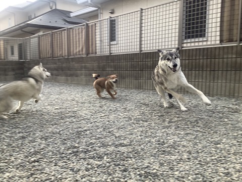 4CE89470-64F8-453D-80CA-451562B28B7E