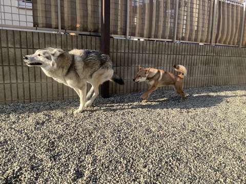 E9CB447A-D687-4FF9-B0D8-C337C78F4327