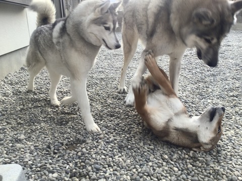 7C25EA7E-B5EA-4F65-85A9-FE36FEB38D70