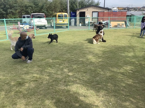 D04430C2-CA34-47AA-B10F-1CD4C34B09C1