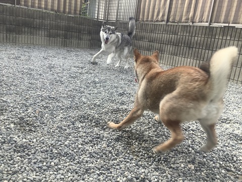 2E252272-5399-459A-86B8-484B8B593A4C