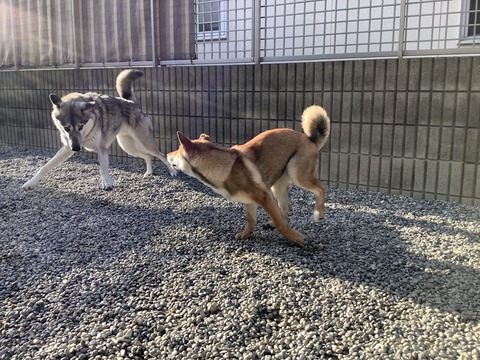 B4E70530-DAA2-4C7F-976D-1141A87AA0D1